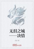 无泪之城——决情