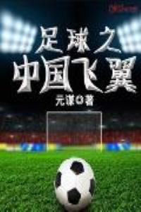 足球之中国飞翼